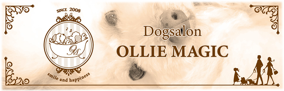 OLLIE MAGIC オーリーマジック 岩手県北上市のドッグサロン