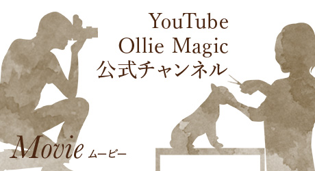 Movie　Ollie Magic 公式チャンネル
